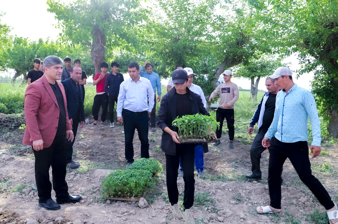 “Bir dala - bir mahsulot” tamoyili amalda